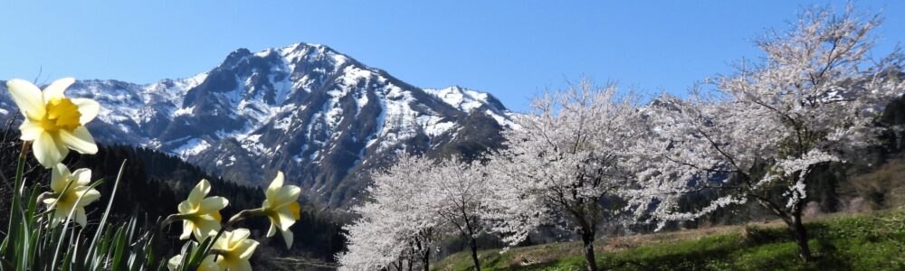 糸魚川の四季　春