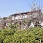 裏の畑から (外観)